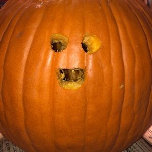 Meet your Posher, Sammy